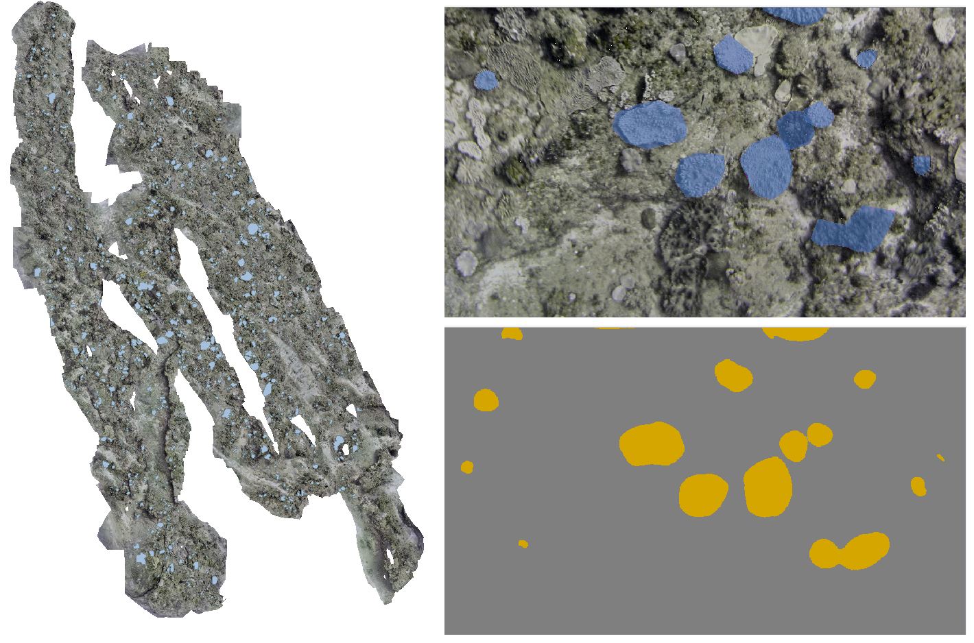 Best Paper Award @ U3DRM 2019