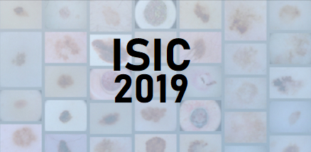 Third Place at the 2019 ISIC Challenge
