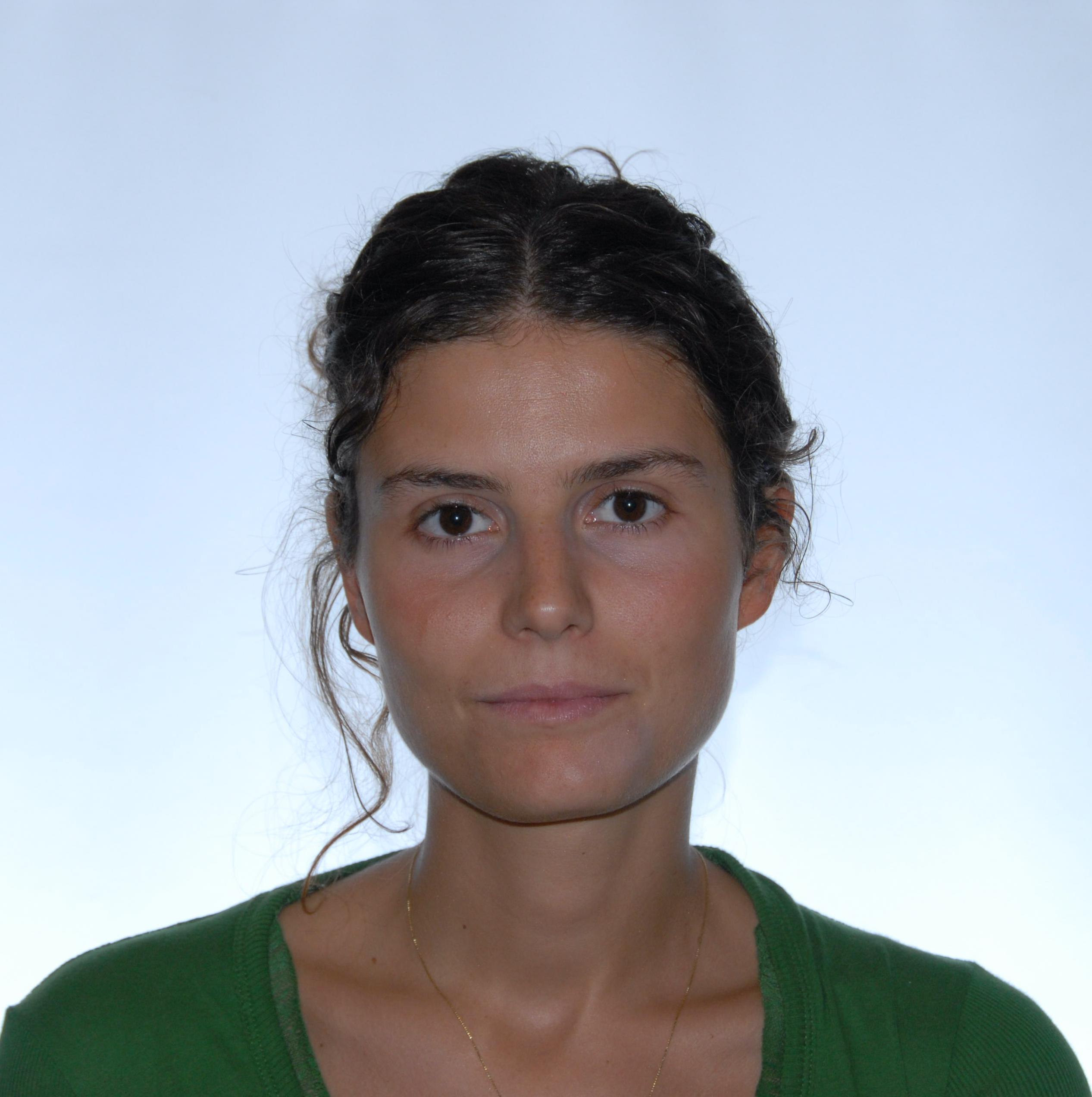 Seminar "Graph Signal Processing for Machine Learning: Challenges and Use-cases", Laura Toni - Gender Unbalanced AI